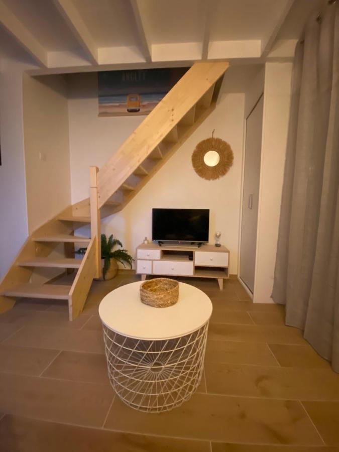 Superbe Appartement Climatise Entre Mer Et Montagne Англет Екстер'єр фото
